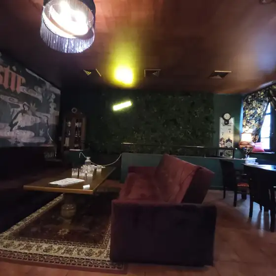 Kanapa i zielona ściana